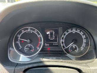 Skoda Fabia Combi 1.0 TSI Bus. Edition picture 19