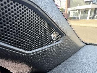 Volkswagen Polo 2.0 TSI GTI picture 17