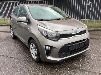 Auto da rottamare Kia Picanto Picanto (JA), Hatchback, 2017 1.0 12V 2019/5