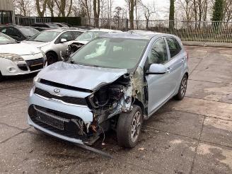 Sloopauto Kia Picanto Picanto (JA), Hatchback, 2017 1.0 12V 2017/7
