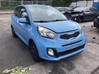 Salvage car Kia Picanto Picanto (TA), Hatchback, 2011 / 2017 1.0 12V 2011/11