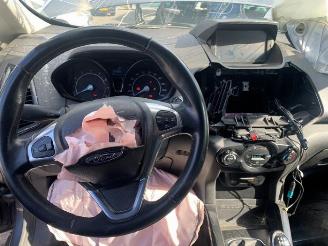 Ford EcoSport EcoSport (JK8), SUV, 2013 1.0 EcoBoost 12V 125 picture 11