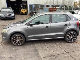 Volkswagen Polo Polo V (6R), Hatchback, 2009 / 2017 1.4 16V picture 19