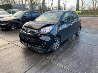 Salvage car Kia Picanto Picanto (TA), Hatchback, 2011 / 2017 1.0 12V 2016/12