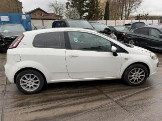 Fiat Punto Evo  picture 7