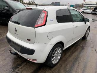 Fiat Punto Evo  picture 3