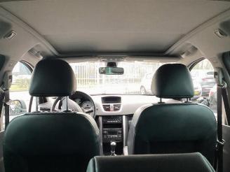 Peugeot 207 207 SW (WE/WU), Combi, 2007 / 2013 1.6 16V picture 14