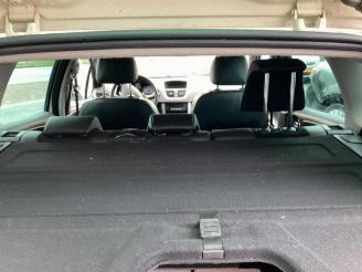 Peugeot 207 207 SW (WE/WU), Combi, 2007 / 2013 1.6 16V picture 13