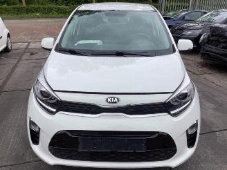 Sloopauto Kia Picanto Picanto (JA), Hatchback, 2017 1.0 12V 2017/8