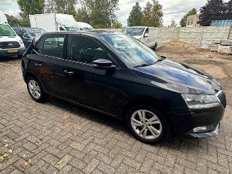 Skoda Fabia  picture 15