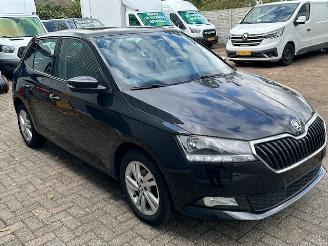 Skoda Fabia  picture 13