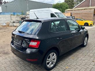 Skoda Fabia  picture 10