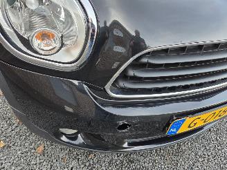 Mini Cooper COUNTRYMAN picture 2