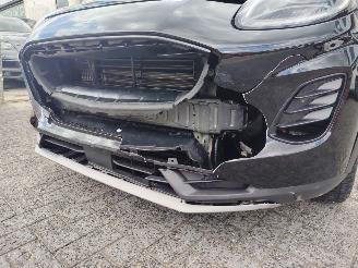 Ford Puma Titanium Camera Stoelverwarming FULL LED 2025 20.000km picture 13