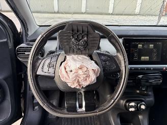 Citroën C4 cactus AUTOMATIC picture 13