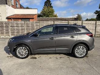 Opel Grandland X TURBO D 1.6 CDTi picture 21