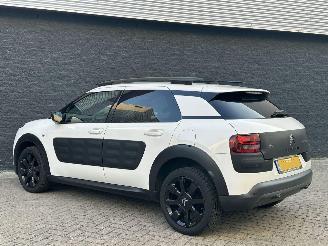 Citroën C4 cactus 1.2 e-VTi Shine picture 6