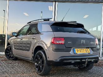 Citroën C4 cactus 1.2 PureTech NAP picture 6