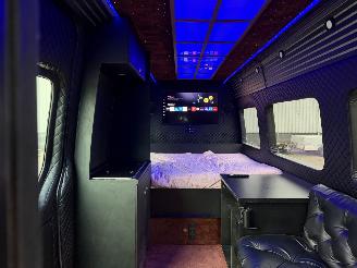 Vaurioauto  passenger cars Mercedes Sprinter VIP CAMPER 906 KA 35 SPRINTER 313CDI 2010/2