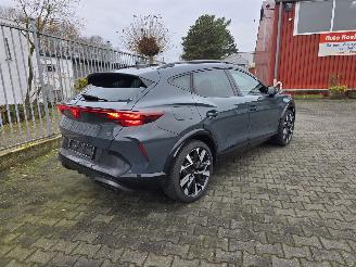 Avarii autoturisme Cupra Formentor VZ 245 kW 2025/9