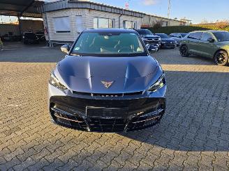 Cupra Tavascan Cupra Tavascan 210 kW Endurance picture 12