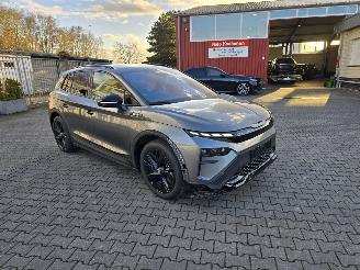 Schadeauto Skoda Enyaq  2025/10