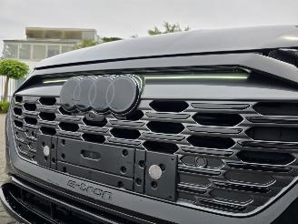 Audi Q8 E-TRON 114 kW aH picture 19