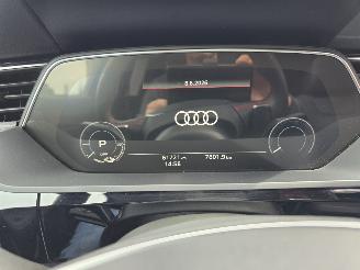 Audi Q8 E-TRON 114 kW aH picture 29