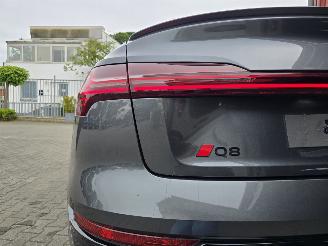 Audi Q8 E-TRON 114 kW aH picture 28