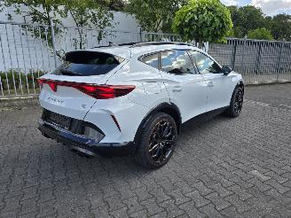 Unfallwagen Cupra Formentor VZ 245 kW PANORAMA 2025/11