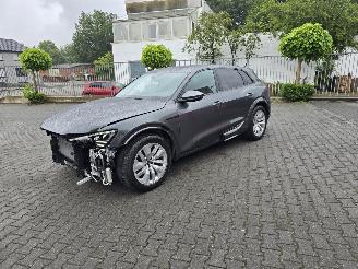 Audi SQ8  picture 4