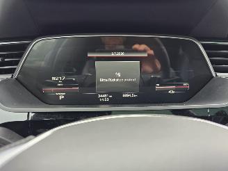 Audi SQ8  picture 19