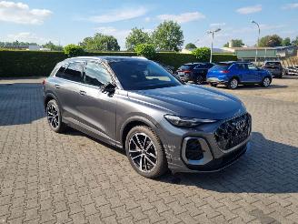 Audi Q5 TDi 150 kW Quattro picture 51