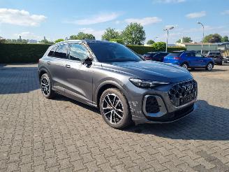 Audi Q5 TDi 150 kW Quattro picture 4