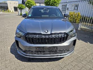 Skoda Kodiaq Sportline TDi 4X4 142 kW picture 16