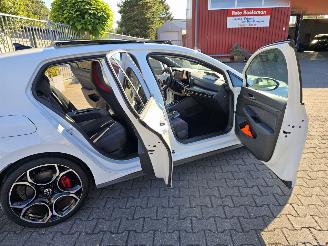 Volkswagen Golf GTI 195 kW PANORAMA IQ LED picture 6