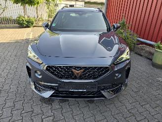 Cupra Formentor Hybride picture 20