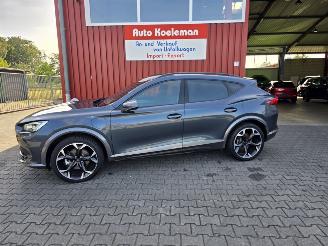 Cupra Formentor Hybride picture 18