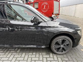 Skoda Kamiq 1.5 TSI DSG Monte Carlo picture 22