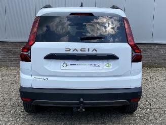 Dacia Jogger 1.0 TCe Extreme Camera, Airco, Trekhaak picture 11