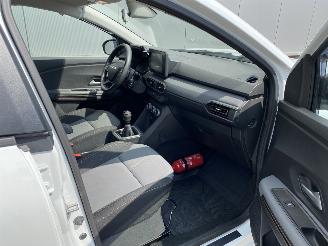 Dacia Jogger 1.0 TCe Extreme Camera, Airco, Trekhaak picture 27