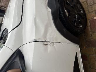 Dacia Spring extreme picture 12