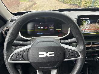 Dacia Spring extreme picture 16