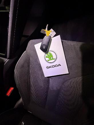 Skoda Enyaq 60 SPORTLINE PANO CRYSTAL LIGHTING NAP picture 20