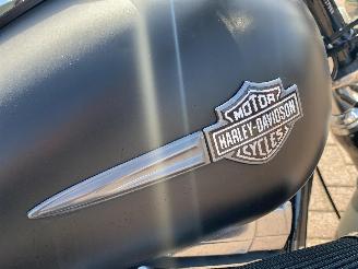 Harley-Davidson Dyna Fat bob 5HD picture 15