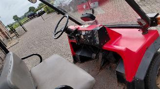 Alle  kawasaki mule   benzine picture 5