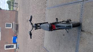 Allight  fatbike picture 2