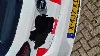 Opel Corsa-E 50kwh navi  airco picture 2