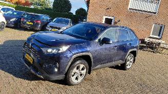 Toyota Rav-4 2.5 hybrid  179kw   navi  clima  4x4 picture 2