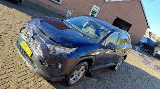 Toyota Rav-4 2.5 hybrid  179kw   navi  clima  4x4 picture 11